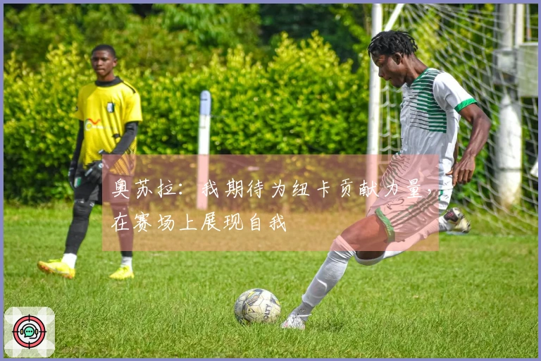 奥苏拉：我期待为纽卡贡献力量，在赛场上展现自我