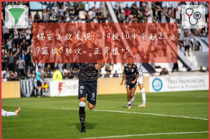 锡安高效表现：14投10中贡献23分9篮板5助攻，正负值+5