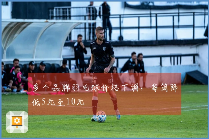 多个品牌羽毛球价格下调，每筒降低5元至10元