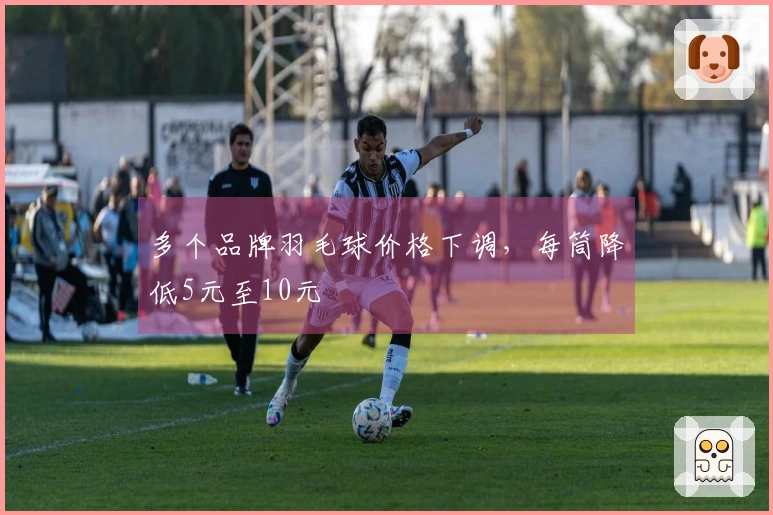 多个品牌羽毛球价格下调，每筒降低5元至10元